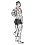 prednje-bočno podizanje s trakom — fitness vježba