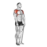 prednje podizanje s trakom — fitness vježba