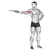 jednoručni pregibi bicepsa iznad glave s trakom — fitness vježba
