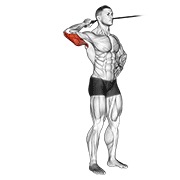 bočna ekstenzija tricepsa s trakom — fitness vježba