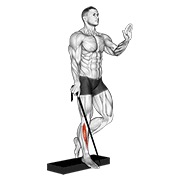 obrnuto podizanje listova na jednoj nozi s trakom — fitness vježba