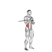 okomiti Pallof potisak s trakom — fitness vježba