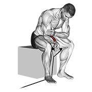 pregibi zapešća s trakom — fitness vježba