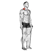 slijeganje ramenima s trakom — fitness vježba