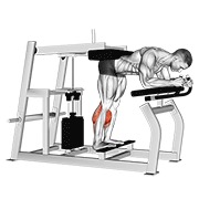 magareće podizanje listova na spravi — fitness vježba