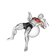 potisak na sajli na lopti za vježbanje — fitness vježba