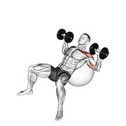 bučice potisak na pozitivnoj lopti za vježbanje — fitness vježba