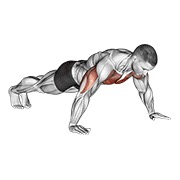 sklek širokim položajem šaka — fitness vježba