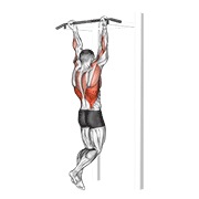 zgibovi — fitness vježba