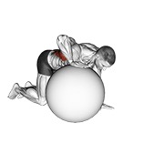 istezanje latissimusa na lopti za vježbanje — fitness vježba