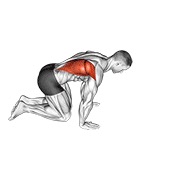 klečeće istezanje latissimusa — fitness vježba