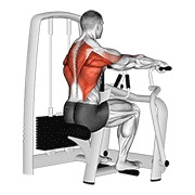 sjedeće veslanje na spravi — fitness vježba