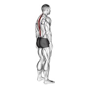 stojeći nagib zdjelice — fitness vježba