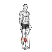 podizanje listova na obje noge s trakom (traka pod obje noge) v. 2 — fitness vježba