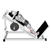 hack podizanje listova — fitness vježba