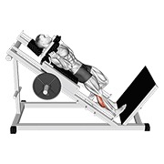 hack podizanje listova na jednoj nozi — fitness vježba
