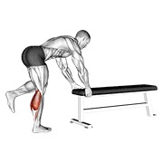 jednonožno magareće podizanje listova — fitness vježba