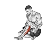 istezanje peroneusa — fitness vježba