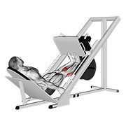 potisak listova na saonicama za potisak nogu — fitness vježba