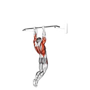 muscle-up (na okomitoj šipci) — fitness vježba