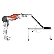 istezanje prsa iza leđa — fitness vježba