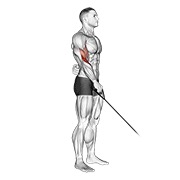 obnuti pregibi jednom rukom na sajli — fitness vježba