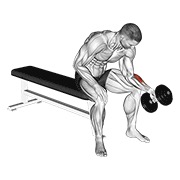 jednoručni sjedeći pregibi zapešća neutralnim hvatom s bučicom — fitness vježba