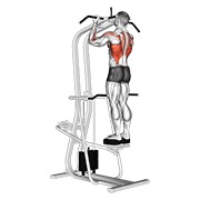 zgibovi podhvatom stojeći s pomoći — fitness vježba