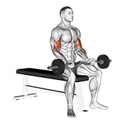 sjedeći pregibi s EZ šipkom — fitness vježba