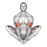 leptir poza (joga) — fitness vježba