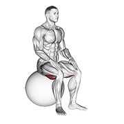 sjedeće istezanje stražnje lože na lopti za vježbanje — fitness vježba