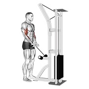 pregibi uskim hvatom na sajli — fitness vježba