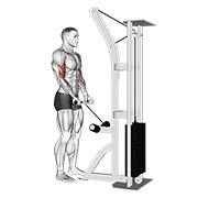 drag pregibi na sajli — fitness vježba