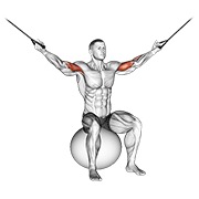 pregibi iznad glave na sajli na lopti za vježbanje — fitness vježba