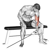 sjedeći koncentracijski pregibi jednom rukom na sajli — fitness vježba