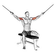 sjedeći pregibi iznad glave na sajli — fitness vježba