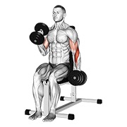 naizmjenični sjedeći čekić pregibi s bučicama — fitness vježba