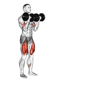 iskorak s pregibom bicepsa s bučicama (pokret kuglanja) — fitness vježba