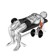 bučice ležeći biceps pregibi na leđima — fitness vježba
