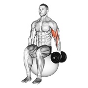 jednoručni sjedeći biceps pregibi s bučicom na lopti za vježbanje — fitness vježba