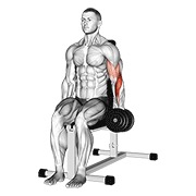 jednoručni sjedeći pregibi čekićem s bučicom — fitness vježba