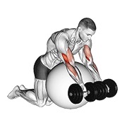pregibi na Scott načinu preko lopte za vježbanje s bučicama — fitness vježba