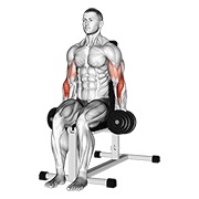 sjedeći pregibi čekićem s bučicama — fitness vježba