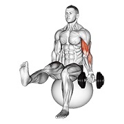 jednoručni sjedeći biceps pregibi s bučicom na lopti za vježbanje s podignutom nogom — fitness vježba