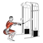 veslanje iz čučnja na sajli (s užetom) — fitness vježba