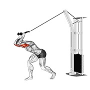 ispružanje tricepsa iznad glave s gornje sajle — fitness vježba