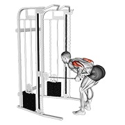 kickback tricepsa objema rukama na sajli — fitness vježba