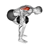 stojeće ispružanje tricepsa jednom rukom s pretklonom s bučicom — fitness vježba