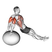 dip na lopti za vježbanje — fitness vježba