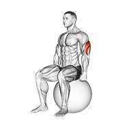 sjedeće istezanje tricepsa na lopti za vježbanje — fitness vježba